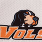 Tennessee applique bow skort set