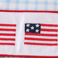 Blue flag embroidery gingham dress
