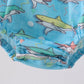 Blue Shark Bubble